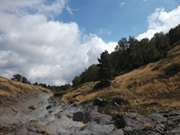 rrente Quarantore-20110911 165